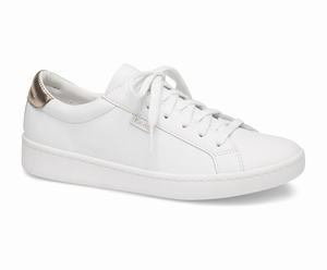 Baskets Keds Ace Femme Blanche | 6829-PQAIX